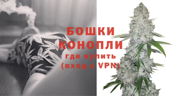 PSILOCYBIN Верея