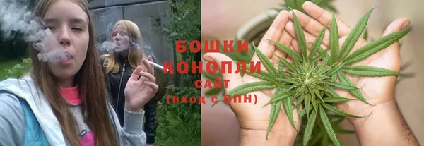 PSILOCYBIN Верея