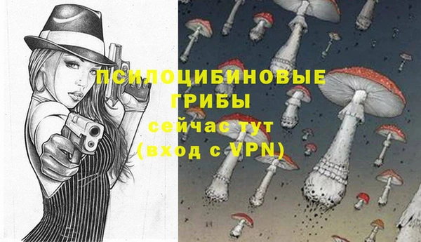мескалин Верхний Тагил