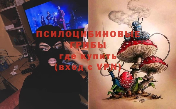 PSILOCYBIN Верея