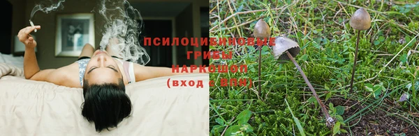 мескалин Верхний Тагил